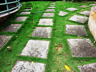 stone path in garden