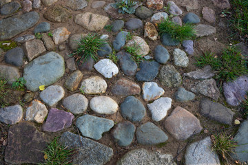 A close-up shot of a cobblestone path-perfect for the background