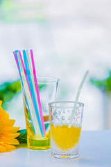 冷茶とヒマワリの花