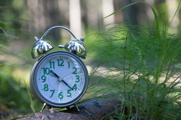 Alarm clock on the background of the morning forest.
