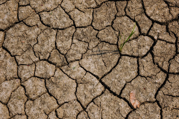 Texture of dried cracked earth by top view