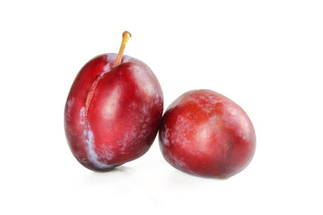 Two fresh plums isolated on white background. Tasty organic fruit