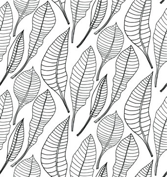 Seamless  pattern with tropical leaves