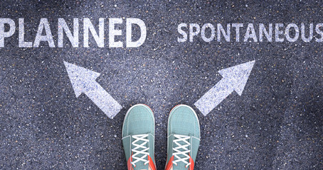 Planned and spontaneous as different choices in life - pictured as words Planned, spontaneous on a road to symbolize making decision and picking either one as an option, 3d illustration