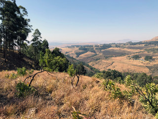 The Drakensberg View