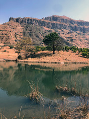 Drakensberg Tree on an island