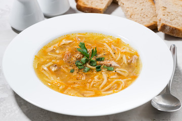 chicken soup with egg noodles in a plate