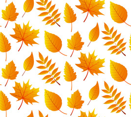 Seamless  pattern with autumn leaves 