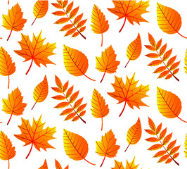 Seamless  pattern with autumn leaves 