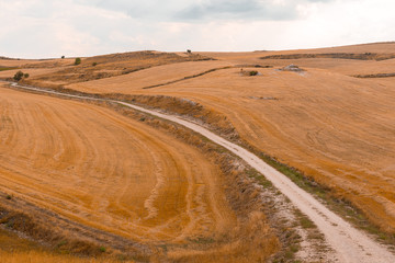 Rural way in Segovia Spain