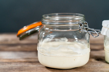 Sourdough starter