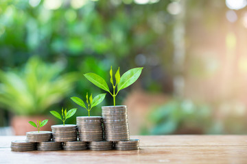 Plant money coins saving growth up to profit interest for concept investment mutual fund finance and business