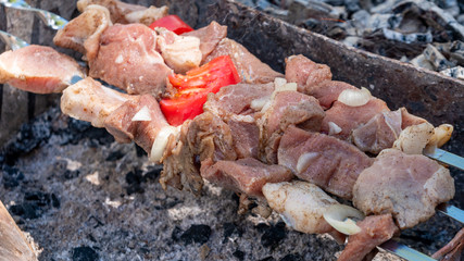 Mtsvadi, grill on the coals with smoke, barbecue
