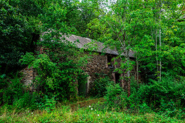 maison ancienne délabrée envahie par la végétation