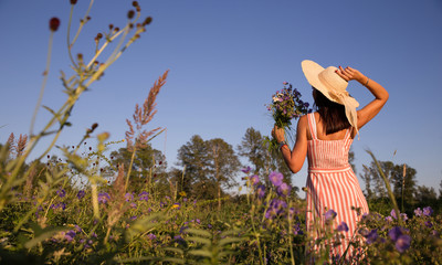 Beautiful girl in a field with flowers on a blue sky background. A fashionable girl in a stylish summer dress and a straw hat with a bouquet of wild flowers. Rear view.