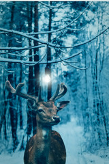 christmas tree decorations