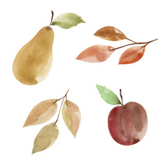 Watercolor set with pear, apple and twigs with leaves isolated on white background. Autumn harvest, fruits, garden, organic food.