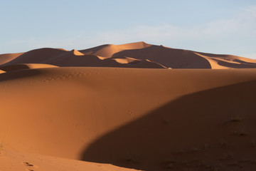Sahara sand dunes in late afternoon sun at sunset with long shadows and texture