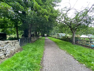 Narrow path, with grass verges and trees, running alongside some allotments in, Esholt, Bradford, UK