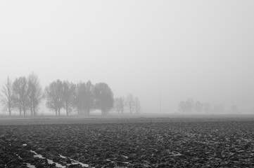 Poranna zimowa mgła nad polami - nastrojowa czarno-biała fotografia - obrazy, fototapety, plakaty