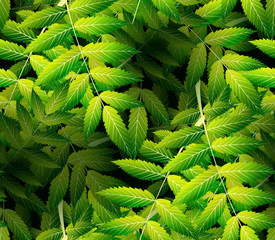 Seamless  pattern with  green leaves