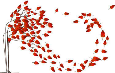 Autumn leaves on a tree. wind