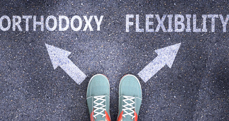 Orthodoxy and flexibility as different choices in life - pictured as words Orthodoxy, flexibility on a road to symbolize making decision and picking either one as an option, 3d illustration