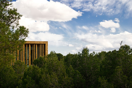 Bioclimatic building hidden among trees of Yecla