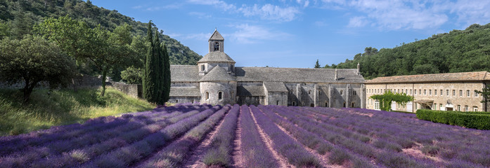 Large panoramic view of lavender field at ancient monastery Abbey of Senanque. Vaucluse, Provence region. France - obrazy, fototapety, plakaty