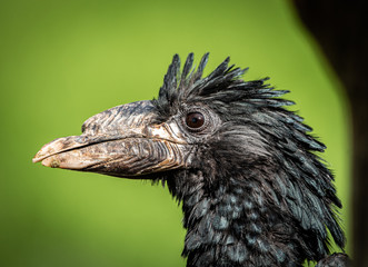 Animals in Zoo Ostrava Czech Republic