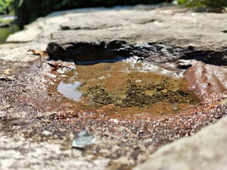 Small Puddle on the Wall