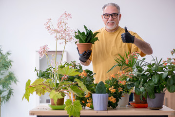 Old male gardener with plants indoors