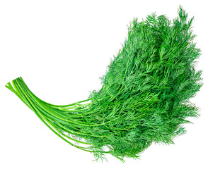 Dill. Fresh dill  herb isolated on a white background. Top view. Macro