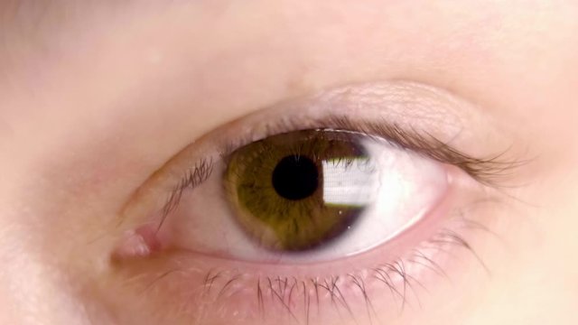 extreme slow motion close up of a contracting pupil as it reduces its aperture to allow for less light to enter