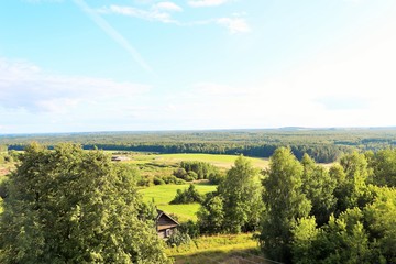Wooden Russian old house is buried in summer green vegetation