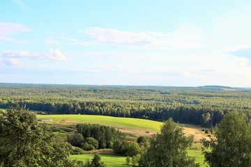Fototapeta na wymiar View of the pasture and taiga