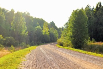 Gravel road through the forest illuminated by the rays of the setting sun