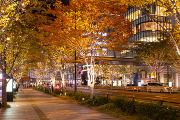 Naklejka premium Japan. Autumn night in Osaka city. Garlands adorn the Japanese city. Street in Japan in the first person. Evening streets of Osaka. Improvement of the Japanese cities. Tour on the cities of Japan.