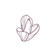 Hand drawn magnolia flowers for greeting or wedding card