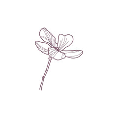 Hand drawn magnolia flowers for greeting or wedding card