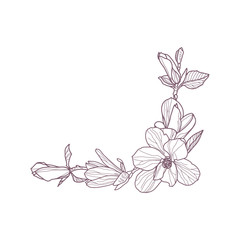 Premade arrangement magnolia flowers. Hand drawn magnolia for greeting card