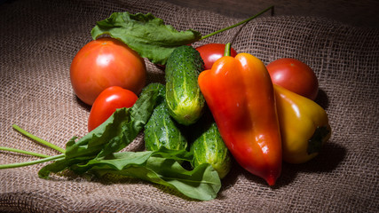 Vegetables, tomato,cucumber, bell pepper, sorrel on the bag