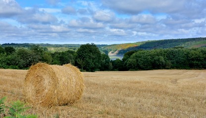 Beautiful view of the Trieux river path in Brittany. France