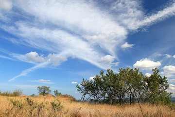 Cirrus clouds, fields and trees in the vicinity of the village of Avren (Bulgaria)