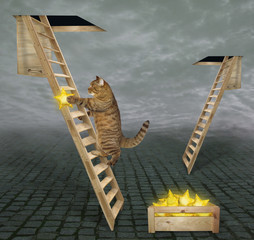 A beige cat with a golden star climbs up a wooden ladder to the sky through a hole in the clouds.