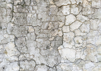 Wall background made of cracks. The texture of gray, dirty, cracked concrete.