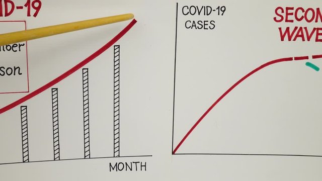 Visual information at the lecture on the likelihood of a second wave of Covid-19