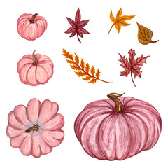 Watercolor pumpkin set. Hand drawn autumn illustration of different pumpkins.