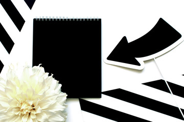 Black and white flatlay with stripes and white dahlia flower. Mock up female concept