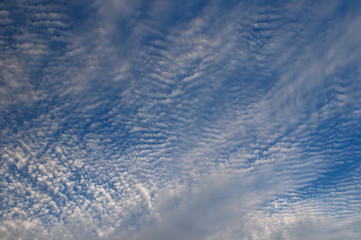 Abstract blue sky with ripple puffball altocumulus clouds - obrazy, fototapety, plakaty